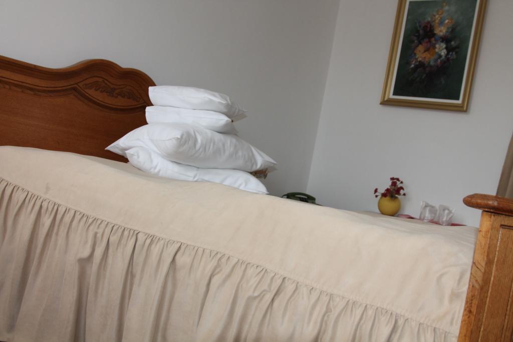Hotel Zimbru Campulung Moldovenesc Phòng bức ảnh